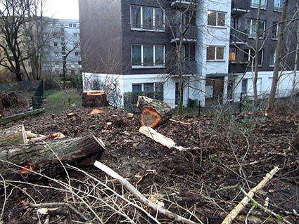 Alter Bahndamm hinter der Beermannstrasse